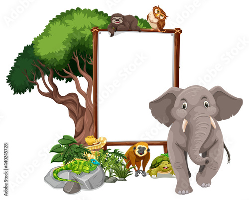 Photography Empty banner with wild animals and rainforest trees on white background
