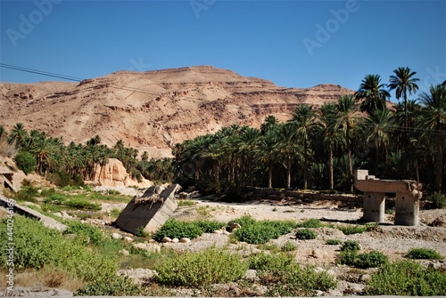 Types de paysage, région de Biskra, Atlas Saharien, Algérie photo