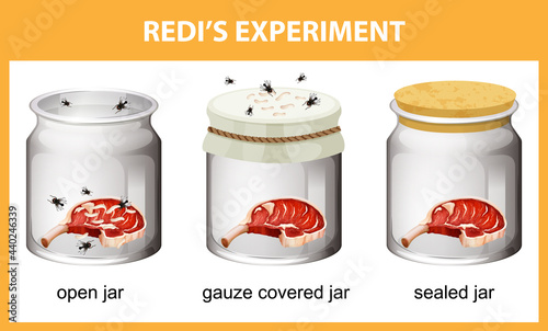 Redi's Experiment diagram for education