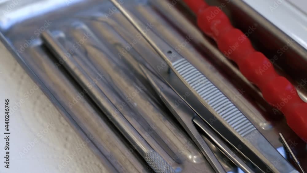 Set of dentist tools: dentist mirror, forceps curved, explorer curved, dental explorer angular. Dental Hygiene and Health concept Set of dentist tools: dentist mirror, forceps curved, explorer curved, dental explorer angular. Dental Hygiene and Health concept