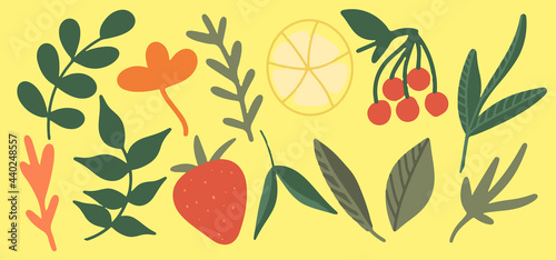 Collection of tea herbs, a set of medicinal herbs, fruit and berry additives for tea, grass, twigs, green tea leaves, lemon, rowan, strawberry, yellow background, bright illustration, hand drawing