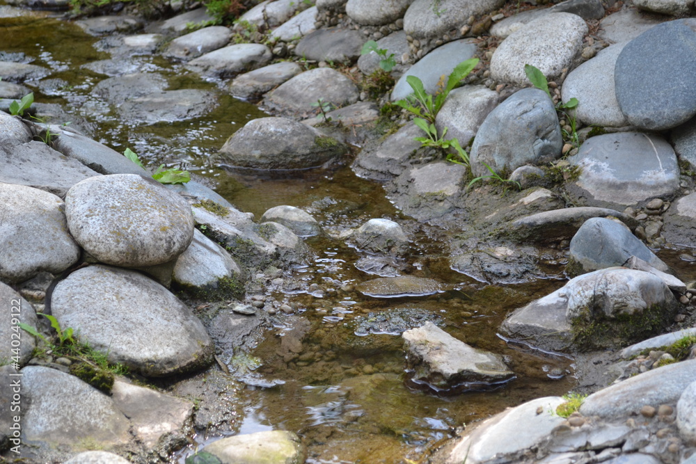 Mountain river in the forest with beautiful stones Mountain river in the forest with beautiful stones