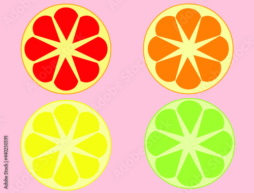 Set of citrus fruits slices consist of pink grapefruit, orange, lemon and lime.