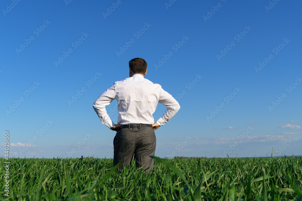 businessman poses in a field, he looks into the distance, green grass and blue sky as background