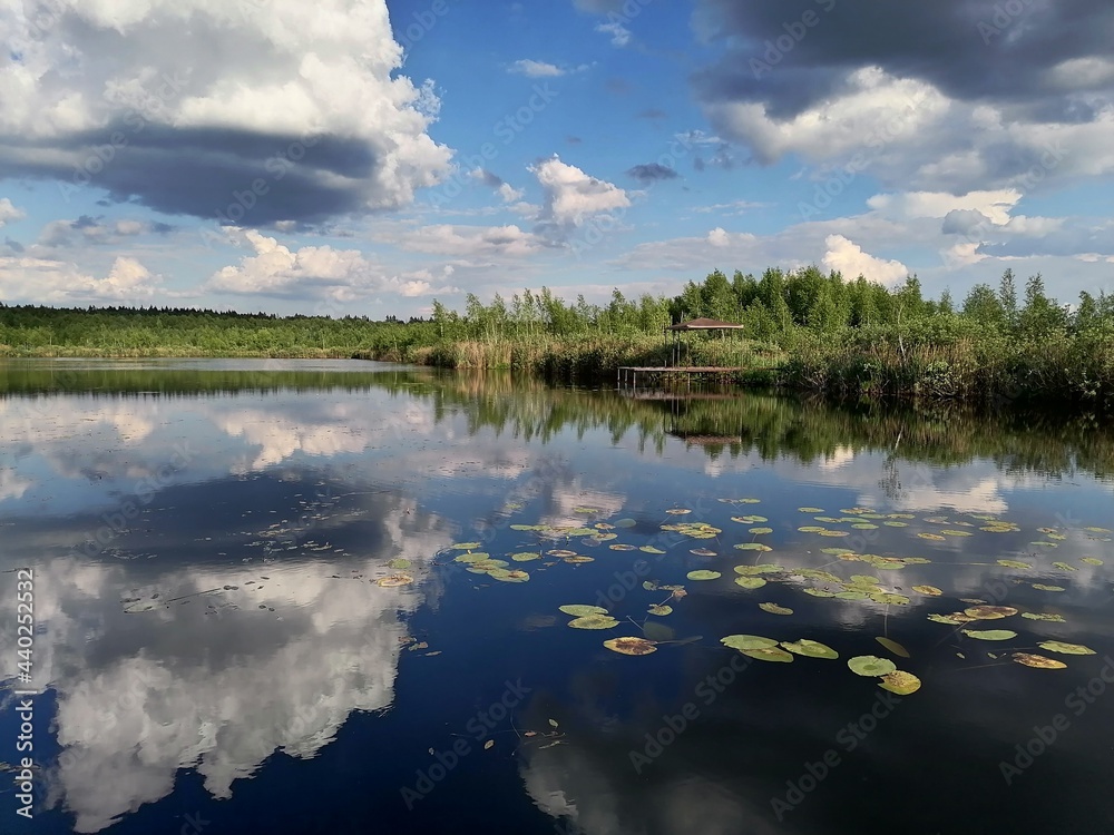 lake and clouds, Summer pond with reeds and water lilies
