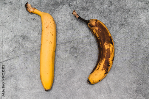 Bananas: A fresh, yellow banana and a spoiled, wilted banana on a gray concrete background, with room for text.