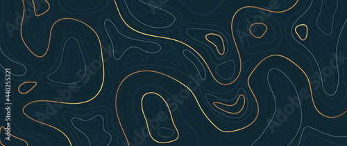 Luxury gold abstract line art background vector.  Mountain topographic map background with golden lines  texture, 17:9 wallpaper design for wall arts, fabric , packaging , web, banner, app, wallpaper.