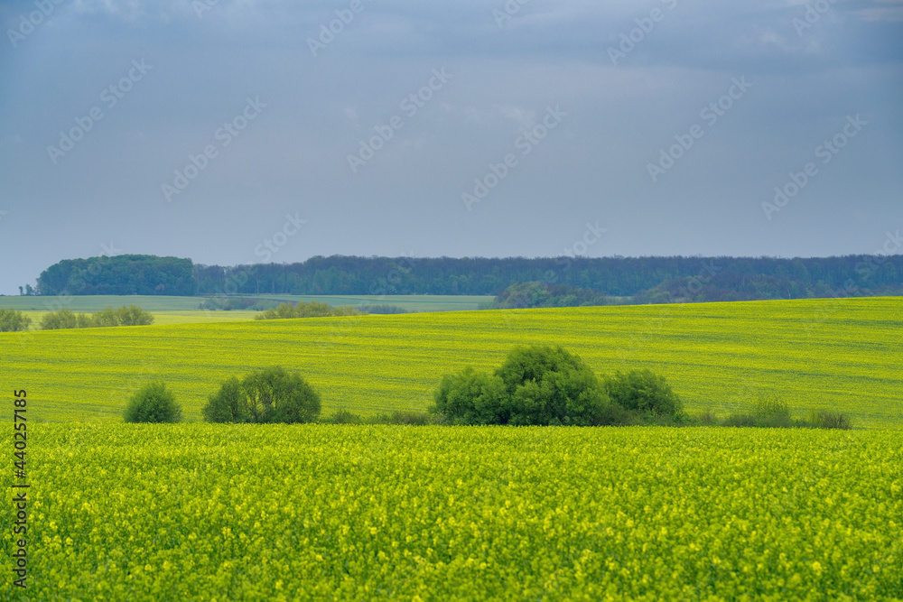 Spring agricultural landscape, Podilski Tovtry nature reserve, Podilia region, South-Western Ukraine