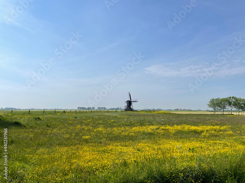 Windmill during summer in Nijhuizum in Friesland