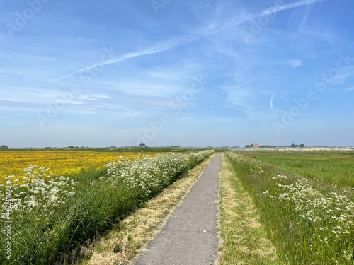 Path around Nijhuizum and a lake photo