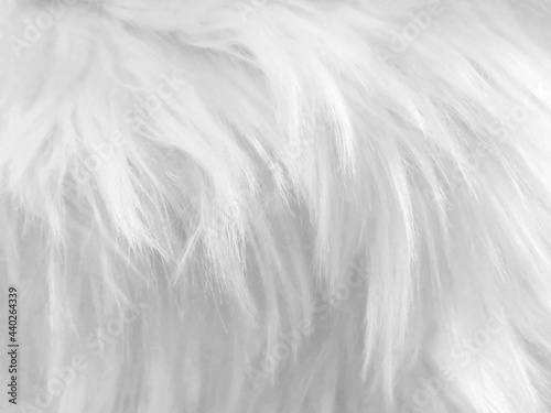 Abstract white clean fur 