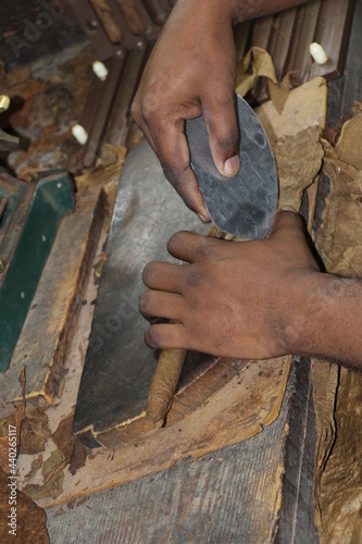 manual cigar spinning rolling process at a cigar factory 