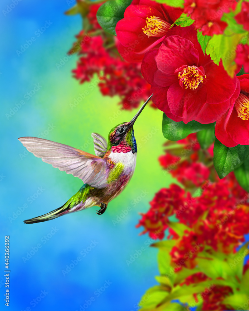 Fototapeta premium Summer, spring bright sunny background, a hummingbird bird flies, branches of a tree blooming with red, pink, white, tropical flowers, sky