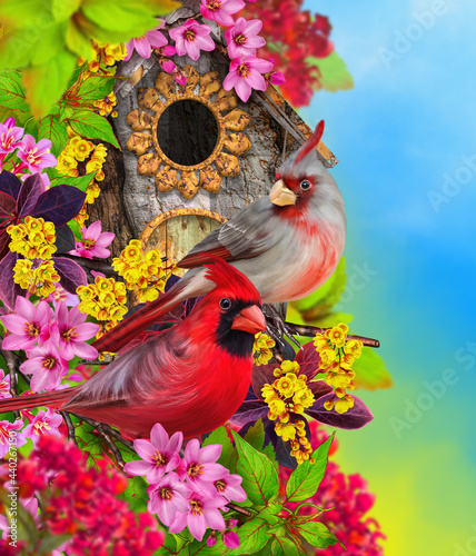 Summer, spring colorful bright background, a bird sits on a branch of a blossoming tree, pink, red, white flowers, birdhouse, sunny day, 3D rendering