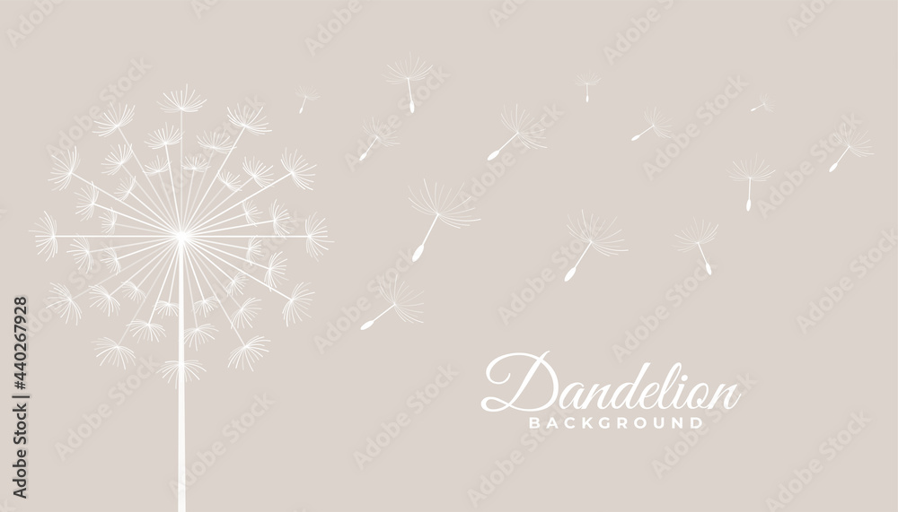 dandelion tea leaves flying seeds background