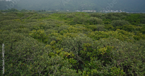 Mountain and sea in Tai O