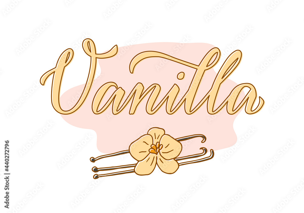 Φωτογραφία Vector illustration of vanilla lettering for packages, product design, banner, sticker, spice shop price list and  decoration