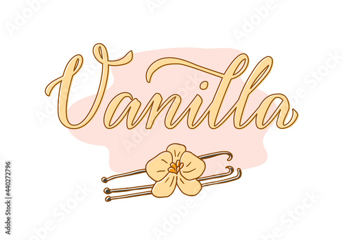 Vector illustration of vanilla lettering for packages, product design, banner, sticker, spice shop price list and  decoration. Handwritten isolated word with a flower
