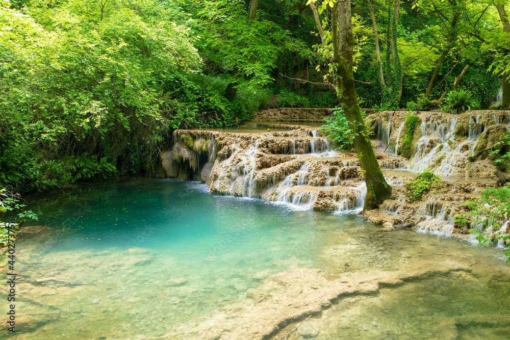 Naklejka premium waterfall in the forest