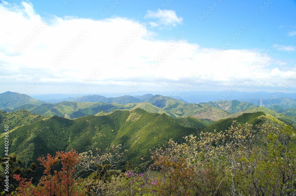 春～初夏の山　新緑　風景