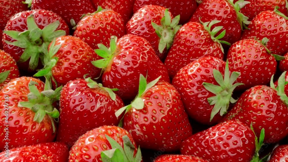 Fresh Ripe Strawberry Healthy Food Summer Berries Fresh Ripe Strawberry Healthy Food Summer Berries