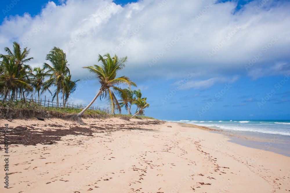 white sandy beaches on the island with coconut palms above the sea waves