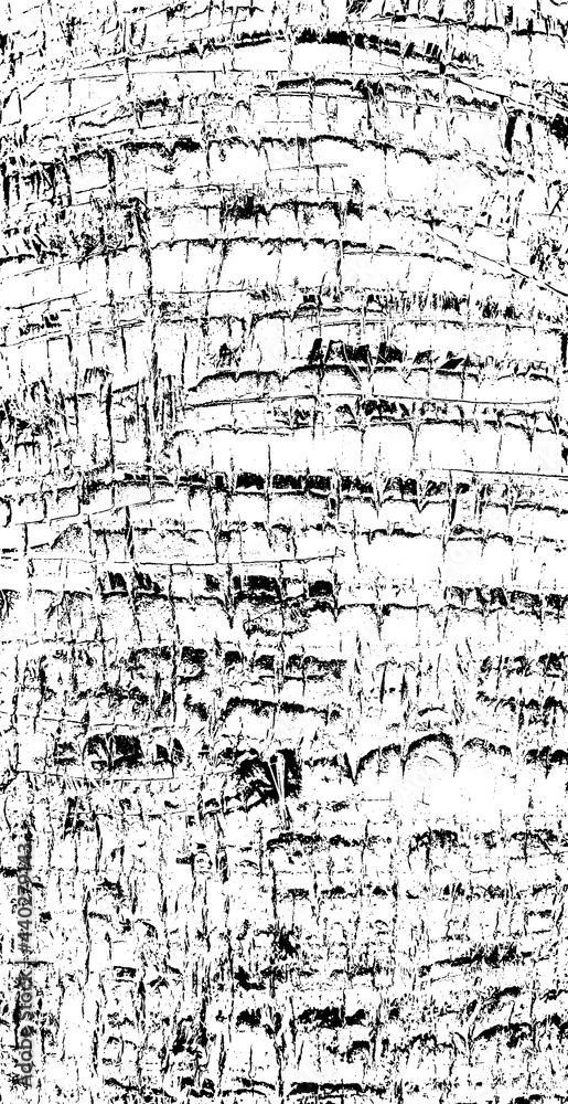 Cutted scars, chopped slits, groove saw notches, scabbed of coco bole. Solid damaged shell of palm tree stem. Old hard rind barrel, cracked husk pruning details. Broken crust of log shaft of 3D design Cutted scars, chopped slits, groove saw notches, scabbed of coco bole. Solid damaged shell of palm tree stem. Old hard rind barrel, cracked husk pruning details. Broken crust of log shaft of 3D design