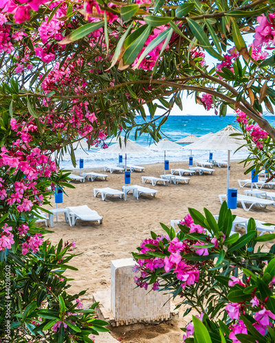 Fototapeta Naklejka Na Ścianę i Meble -  Ozdere Town coastal view in Turkey