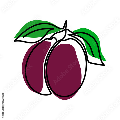 One line two plums.Trendy monoline,continuous line,healthy food.Vector hand drawn illustration.