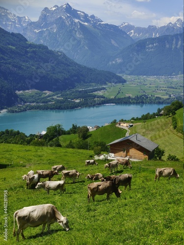 Seerenbach Waterfalls e vista del lago di Walenstadt photo