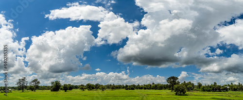Panorama image, Blue sky, and wispy white clouds on a sunny day over the fields.
