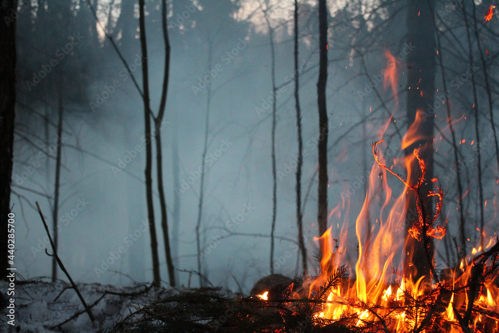A strong flame from a campfire in the night forest. A pagan rite. A strong flame from a campfire in the night forest. A pagan rite.