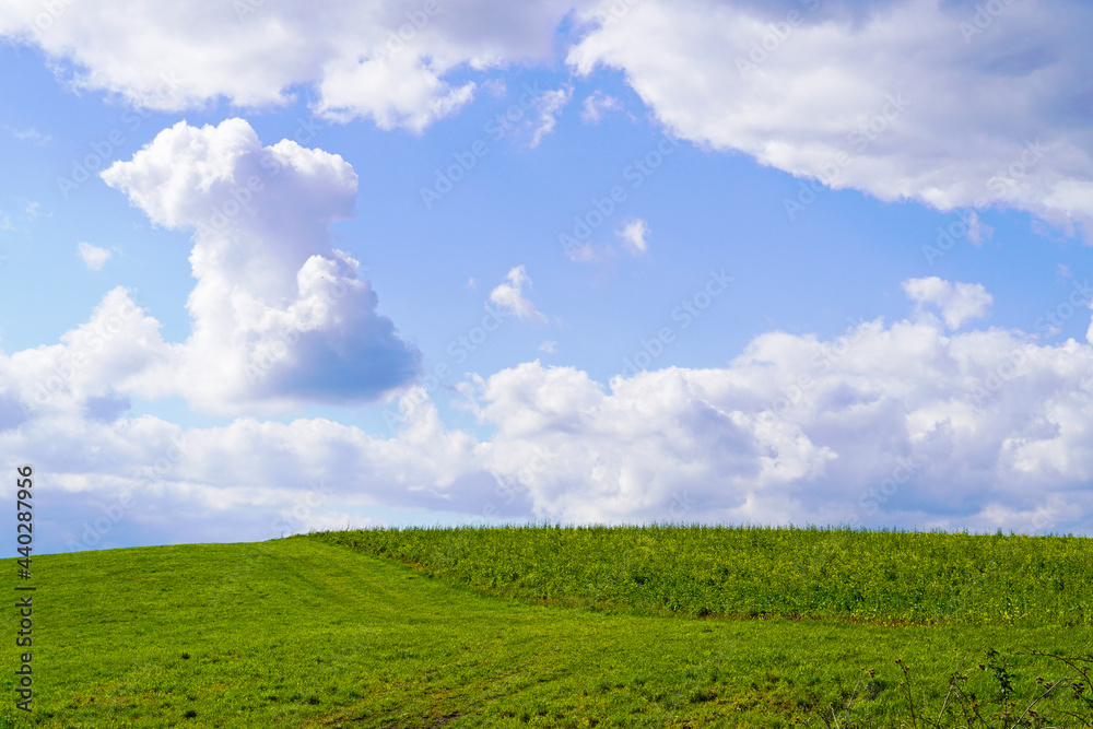 Landscape with green fields near Ahlen, Dolberg. Nature with green meadow and blue sky with white clouds. Landscape with green fields near Ahlen, Dolberg. Nature with green meadow and blue sky with white clouds.