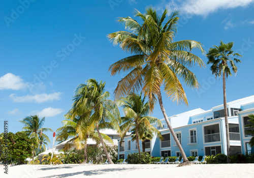 Grand Cayman Island Sven Mile Beach Leaning Palms photo
