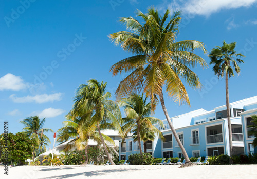 фотографія Grand Cayman Island Sven Mile Beach Leaning Palms