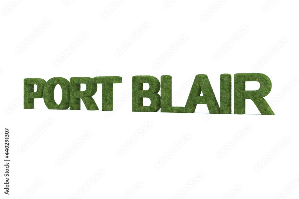 3d rendering of green grass PORT BLAIR word isolated on white background 3d rendering of green grass PORT BLAIR word isolated on white background