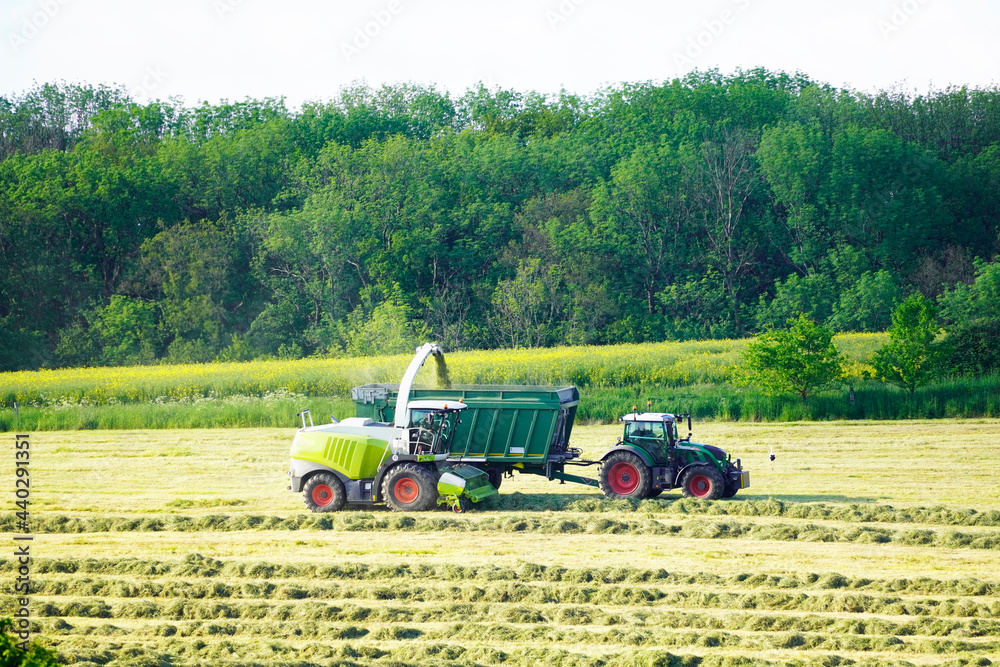 Fototapeta premium Two agricultural vehicles harvesting hay. Collecting hay for silage. Hilly green landscape.