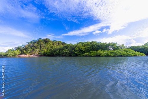 Vista panoramica sulla mangrovia tropicale.