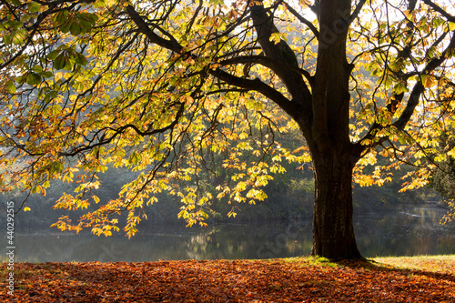 Autumn  in europe