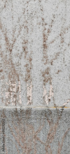 texturierte Wand mit Pflanzenrelief