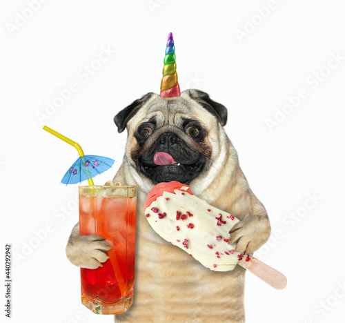 A dog pug unicorn holds a fruit popsicle and a glass of juice with ice. White background. Isolated. photo