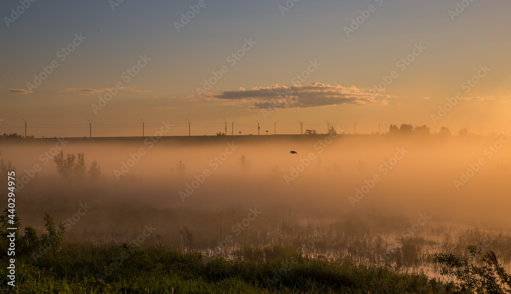 thick fog rises over fields in the rays of the rising sun on a warm summer morning thick fog rises over fields in the rays of the rising sun on a warm summer morning