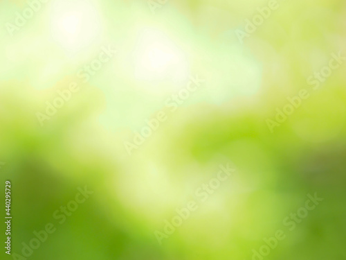 Abstract green natural blurred background and sunlight. 