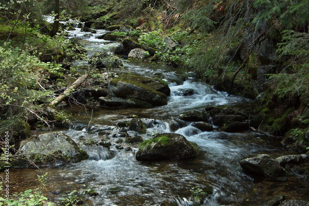 Creek Zelený potok at Pec pod Sněžkou in Giant Mountains, Czech Republic, Europe
