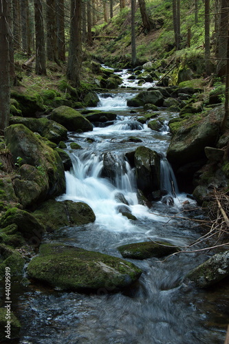 Creek Zelený potok at Pec pod Sněžkou in Giant Mountains, Czech Republic, Europe
