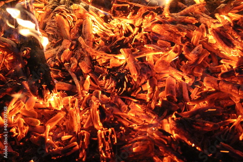 Hot coals from a campfire in the night forest.