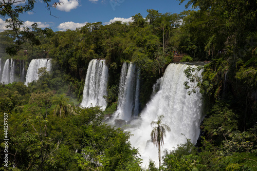 The Iguazu falls in the jungle. View of the white falling water flowing across the tropical rainforest in Iguazu national Park  Misiones  Argentina. The waterfalls and lush vegetation.