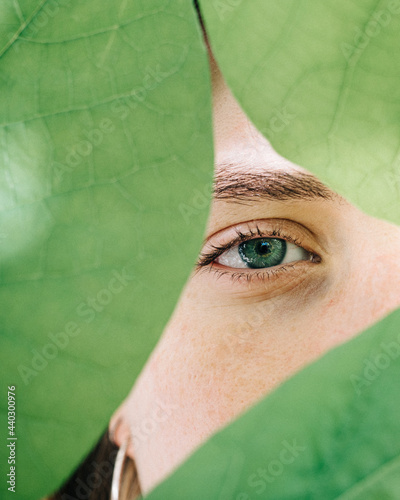 Close up of a young women green eye looking through green leaves photo