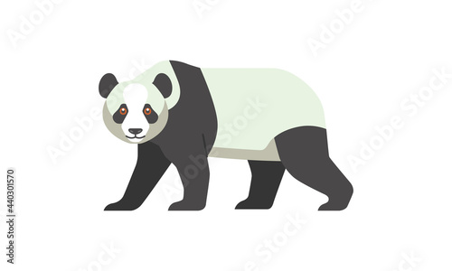 Giant animal Panda bear  Ailuropoda melanoleuca  walking side angle view  flat style vector illustration isolated on white background