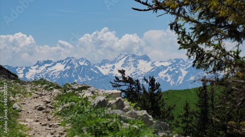 variation verte et blanche dans le massif des Bauges  Alpes